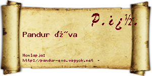 Pandur Éva névjegykártya